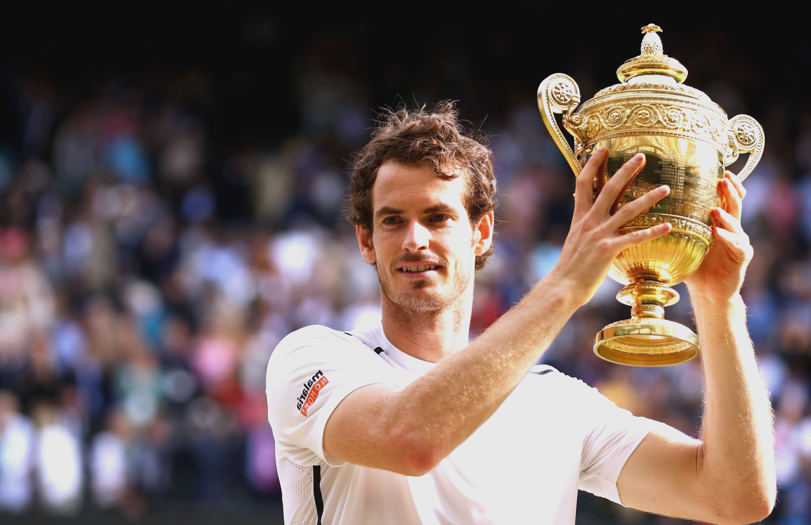 英国网球队绝地反击美国网球队，穆雷关键制胜的简单介绍