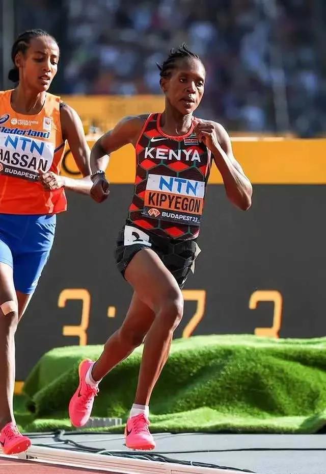 PG中国登录入口-爱尔兰选手表现出色，令人瞩目