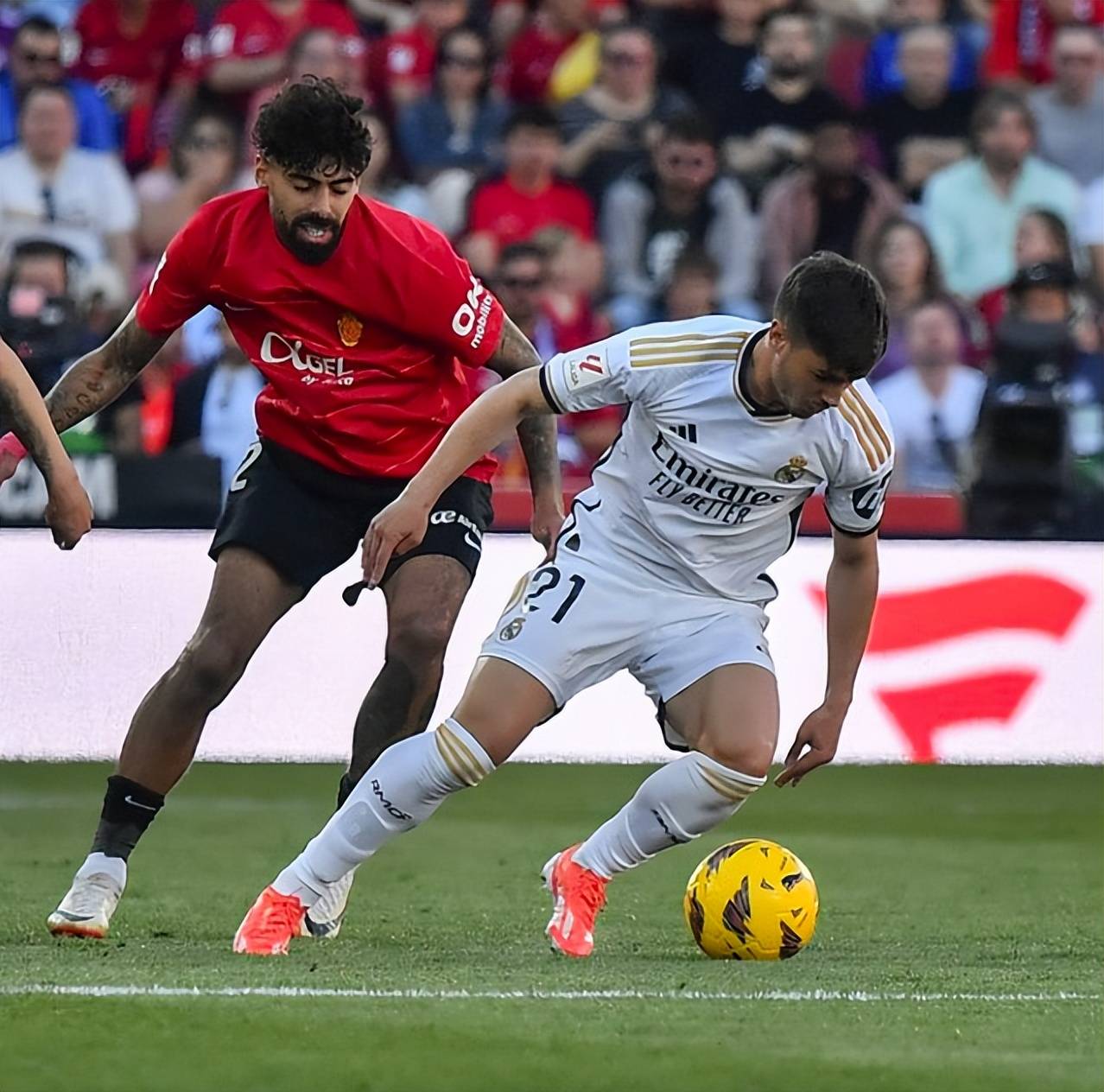 铁血兄弟！欧洲国家杯赛场上情同手足的简单介绍