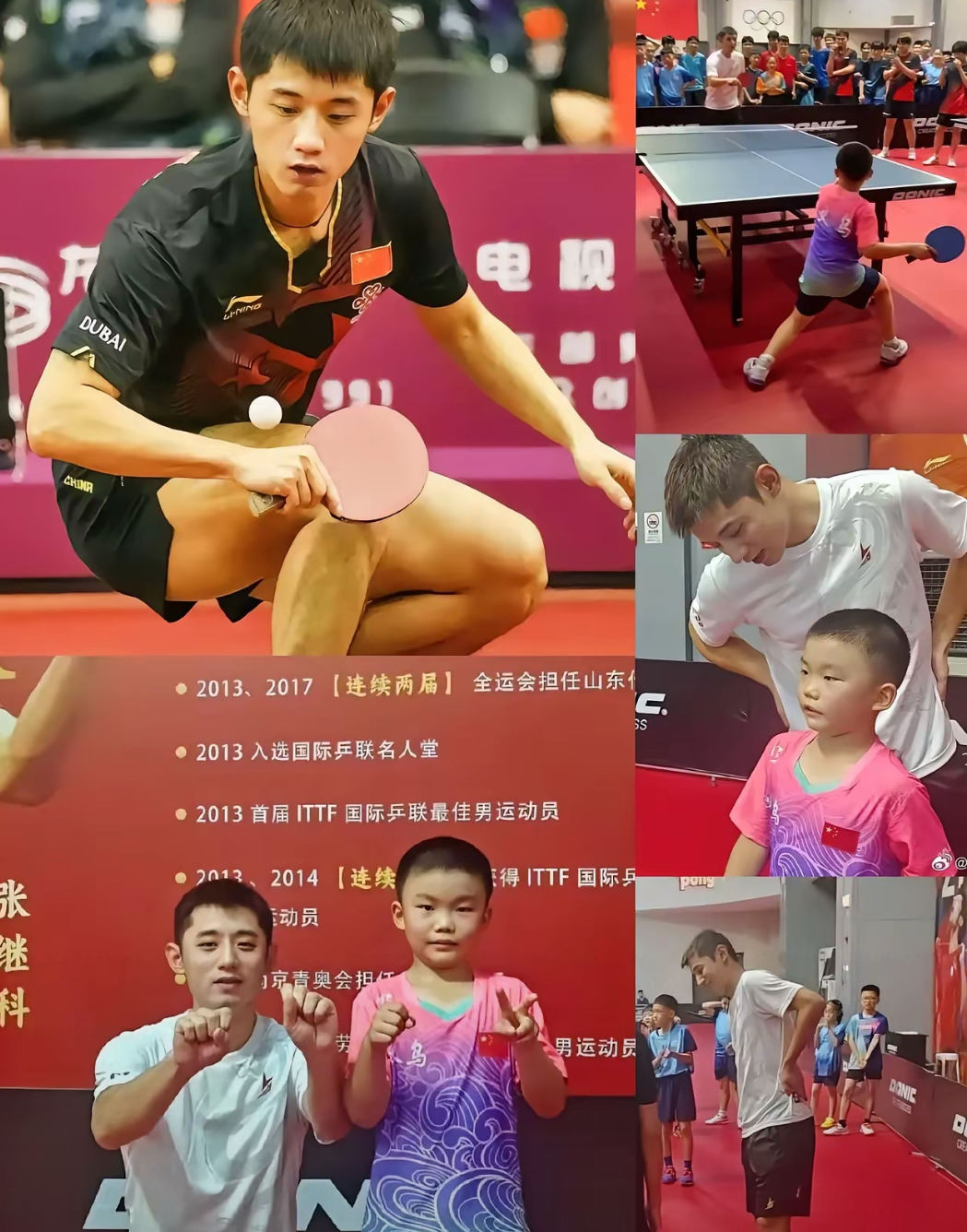 关于奥地利队翻盘瑞典队，张继科惊艳四座的信息