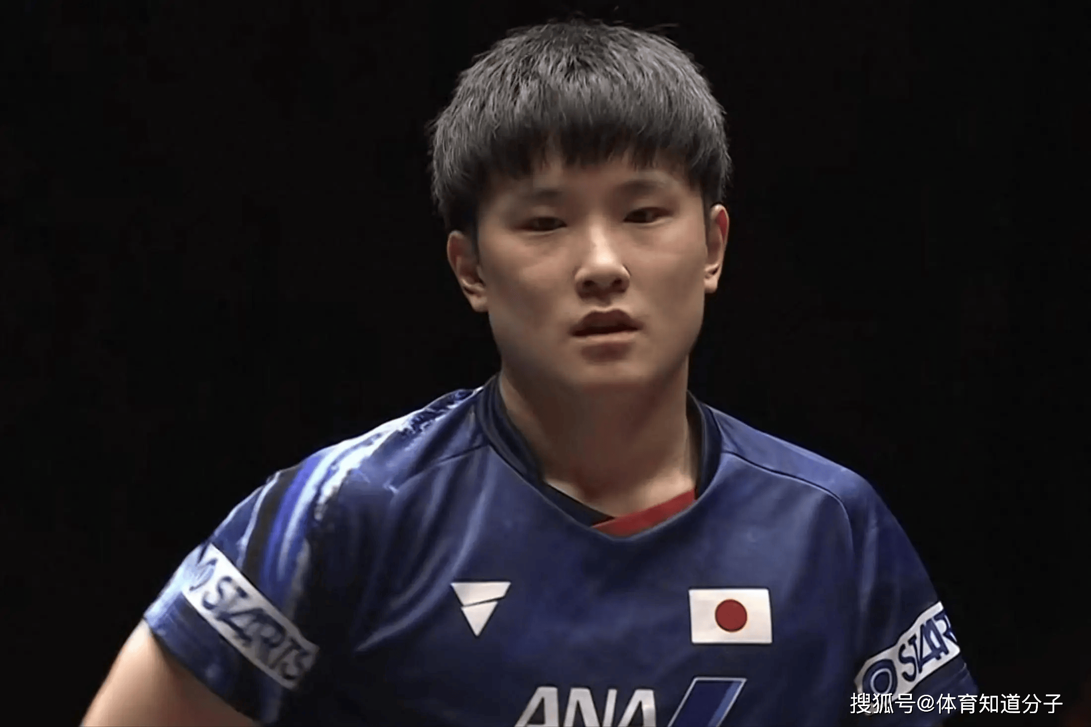 包含葡萄牙队力克中国队，张本智和高光表现的词条