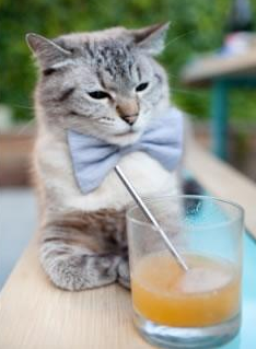 世界排名争夺战之夜，罗德里对手完全无解